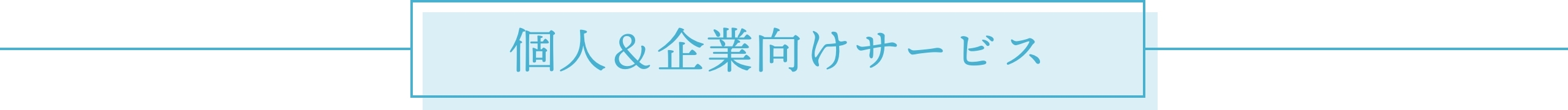 個人&企業向けサービス